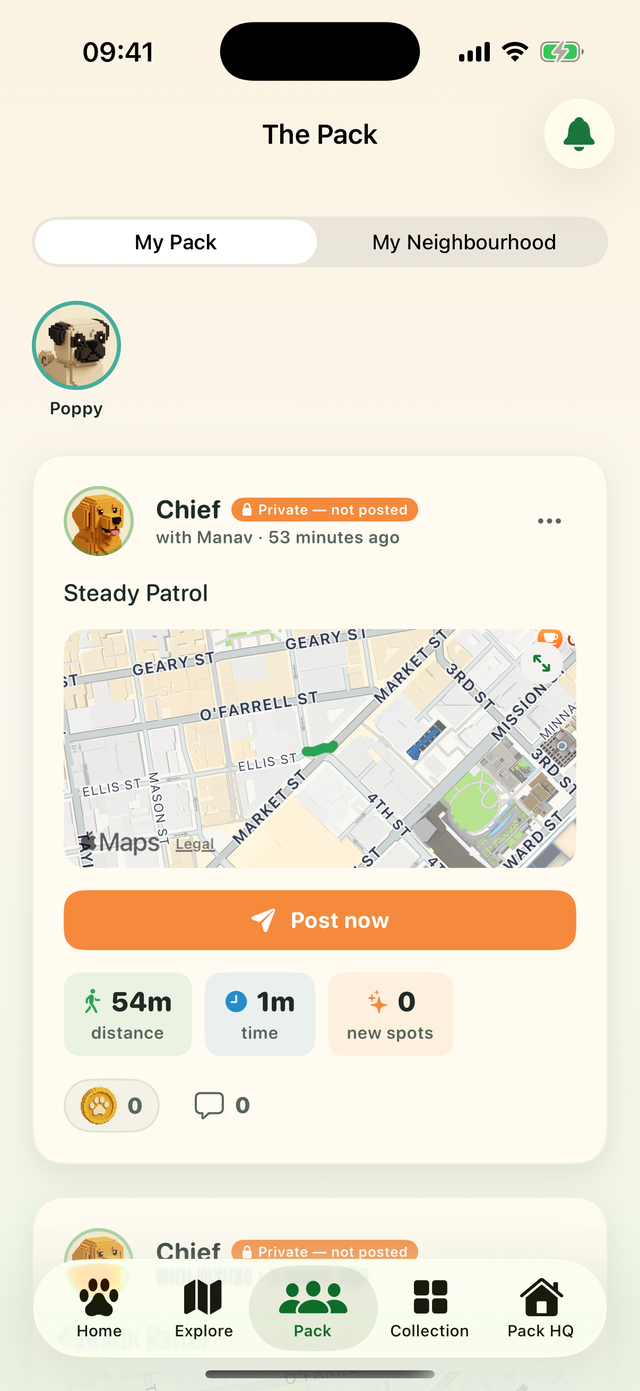 The Pack feed showing neighbourhood dogs' walks